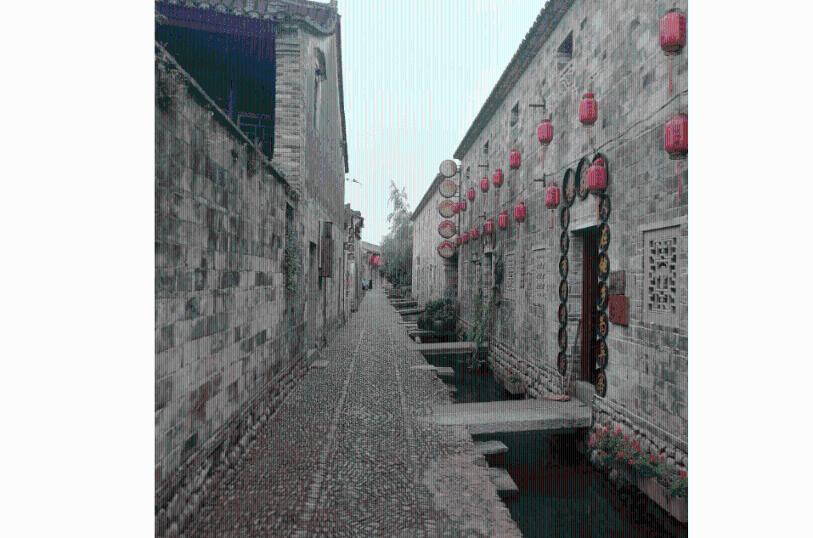 细胞分裂5